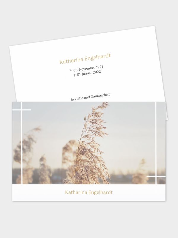 2-seitige Trauerkarte im klassischen Querformat (178 x 115 mm) | Motiv Schilfgras | TKK_2Q_056