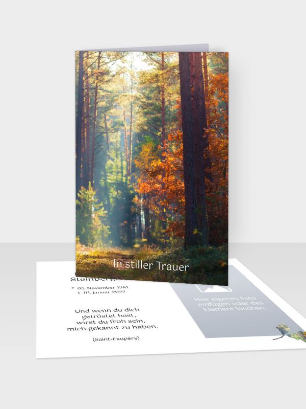 Erinnerungsbild - Kleinere Klappkarte mit Trauerbild/Sterbebildchen (74 x 105 mm) | Motiv Herbstwald | EB_050